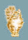 Gifts for women UK, Funny Greeting Cards, Wrendale Designs Stockist, Berni Parker Designs Gifts Greeting Cards, Engagement Wedding Anniversary Cards, Gift Shop Shrewsbury, Visit Shrewsbury Wrendale Designs A6 Notebook Ginger Cat 2