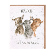  Wrendale Designs - How Old? You Must be Kidding - Blank Birthday Card
