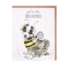 Gifts for women UK, Funny Greeting Cards, Wrendale Designs Stockist, Berni Parker Designs Gifts Greeting Cards, Engagement Wedding Anniversary Cards, Gift Shop Shrewsbury, Visit Shrewsbury Blank Greeting Card Dog dressed as bee dog lover birthday card thank you card