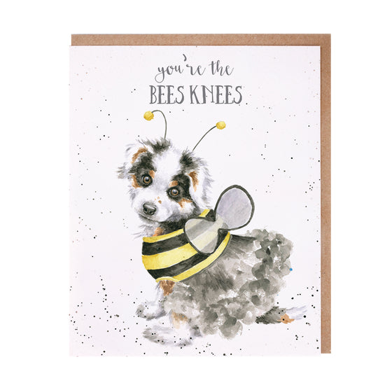 Gifts for women UK, Funny Greeting Cards, Wrendale Designs Stockist, Berni Parker Designs Gifts Greeting Cards, Engagement Wedding Anniversary Cards, Gift Shop Shrewsbury, Visit Shrewsbury Blank Greeting Card Dog dressed as bee dog lover birthday card thank you card