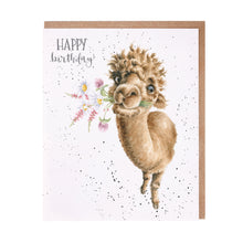  Gifts for women UK, Funny Greeting Cards, Wrendale Designs Stockist, Berni Parker Designs Gifts Greeting Cards, Engagement Wedding Anniversary Cards, Gift Shop Shrewsbury, Visit Shrewsbury Blank Birthday Card Llama Lovers