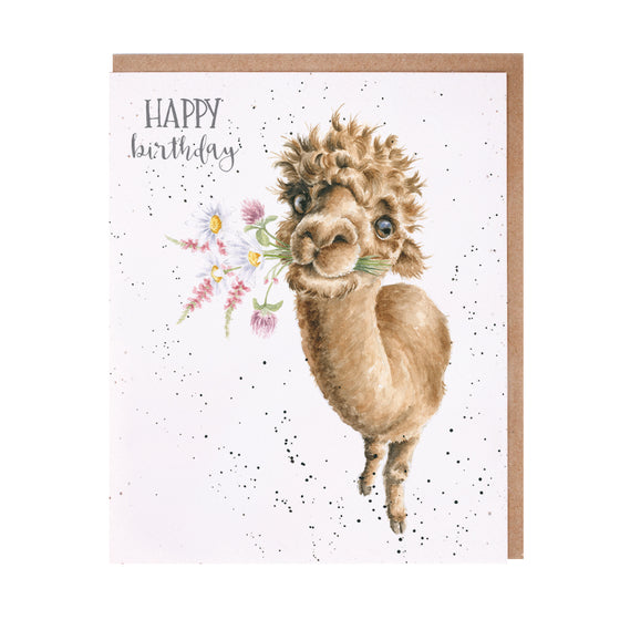 Gifts for women UK, Funny Greeting Cards, Wrendale Designs Stockist, Berni Parker Designs Gifts Greeting Cards, Engagement Wedding Anniversary Cards, Gift Shop Shrewsbury, Visit Shrewsbury Blank Birthday Card Llama Lovers