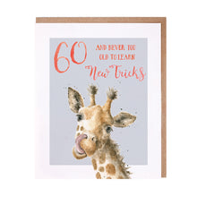  Gifts for women UK, Funny Greeting Cards, Wrendale Designs Stockist, Berni Parker Designs Gifts Greeting Cards, Engagement Wedding Anniversary Cards, Gift Shop Shrewsbury, Visit Shrewsbury Blank 60th Birthday Card Gender Neutral Giraffe