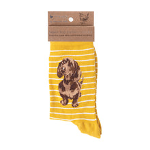 Gifts for women UK, Funny Greeting Cards, Wrendale Designs Stockist, Berni Parker Designs Gifts Greeting Cards, Engagement Wedding Anniversary Cards, Gift Shop Shrewsbury, Visit Shrewsbury Wrendale Designs Women's Bamboo Socks Mustard Yellow White Striped Dachsund Puppy